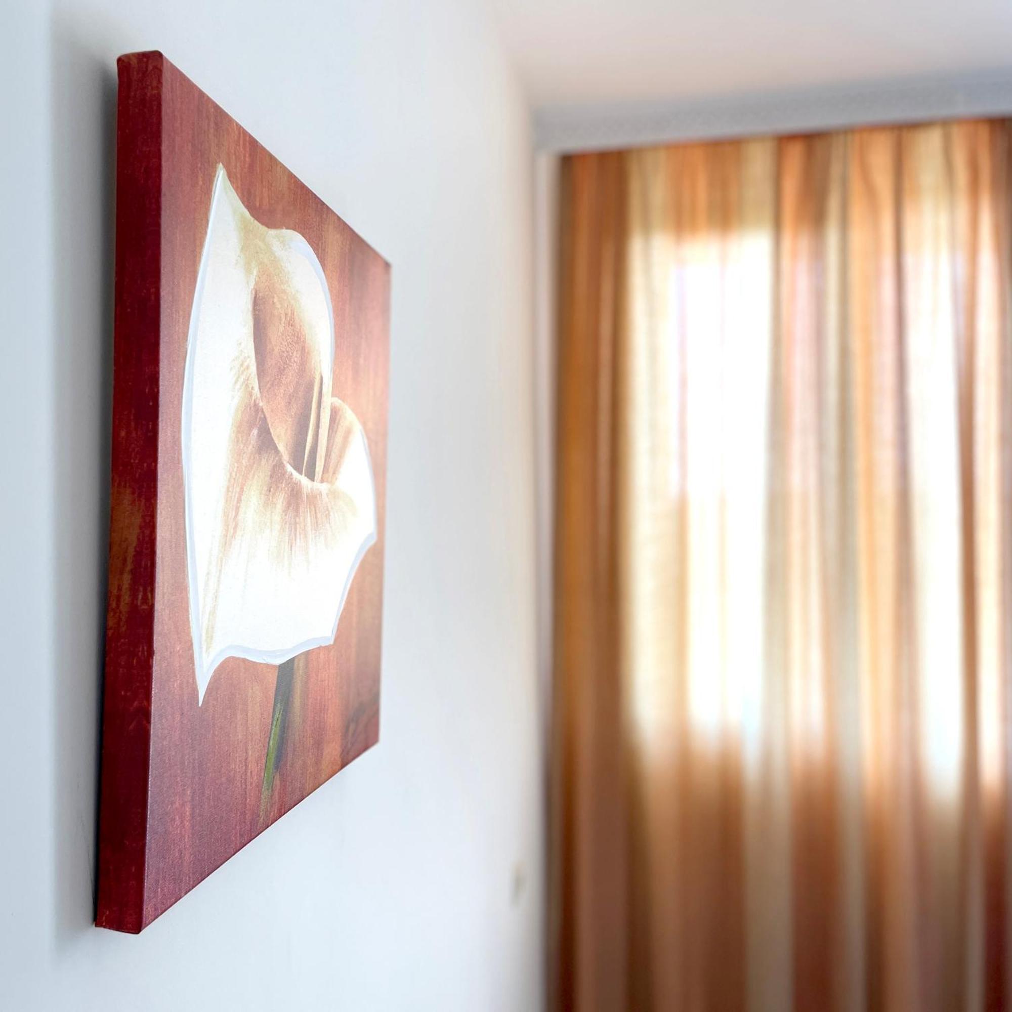 Hotel Zoia Czernomorec Zewnętrze zdjęcie
